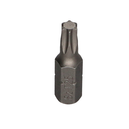 1 x Punta TORX T25 FIZOMAX