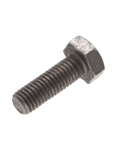 Tornillo metales cabeza hexagonal M2X22 Acero bruto 2