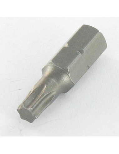 1 x Punta TORX T25 longitud 90
