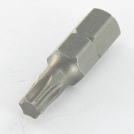 1 x Punta TORX T25 longitud 90
