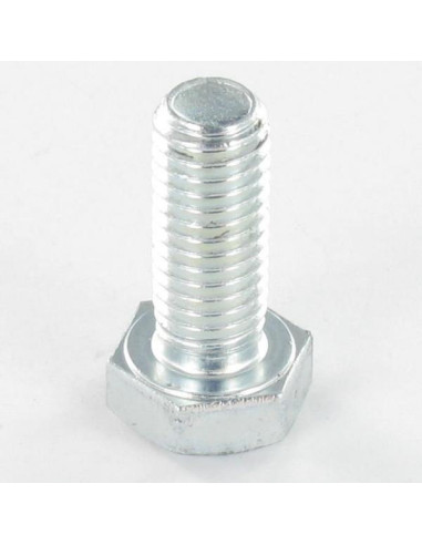 1 x Tornillo metales cabeza hexagonal M10X120...
