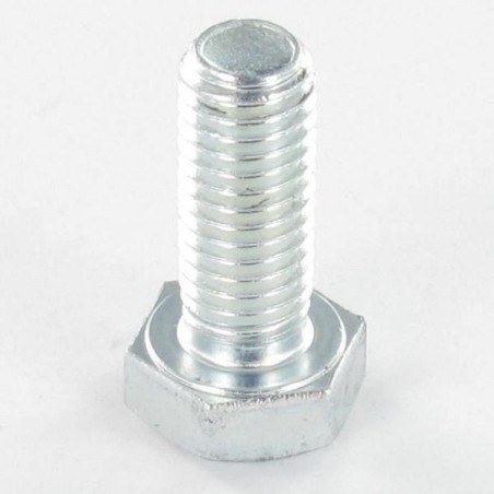 1 x Tornillo metales cabeza hexagonal M10X120 Clase 6.8 Acero cincado blanco