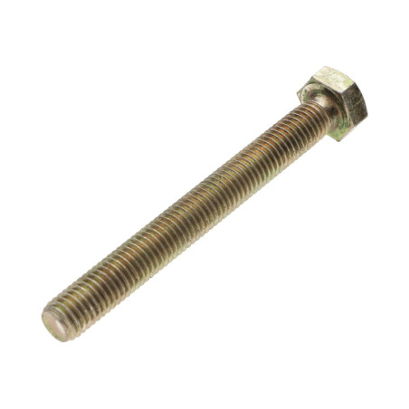 1 x Tornillo metales cabeza hexagonal M10X70 Clase 6.8 Bicromato