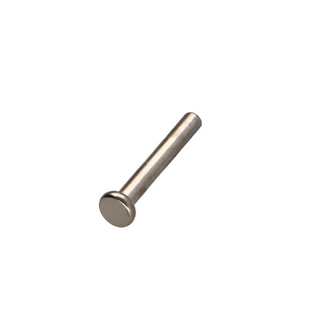 1 x Remache FUERZAS cabeza plana 3X21 Acero niquelado