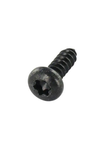 1 x Tornillo chapa cabeza cilíndrica TORX T10...