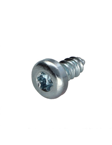 1 x Tornillo chapa cabeza cilíndrica TORX T10...