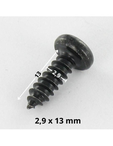 1 x Tornillo chapa cabeza cilíndrica TORX T10...