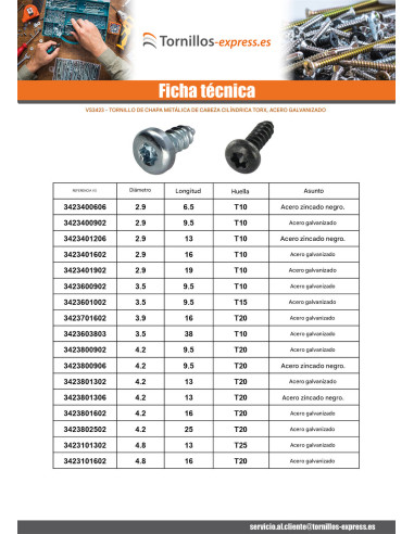 1 x Tornillo chapa cabeza cilíndrica TORX T20...