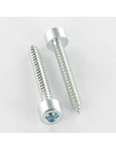 1 x Tornillo chapa CHC BTR llave de 5 4.8X50...