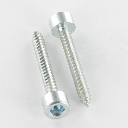1 x Tornillo chapa CHC BTR llave de 5 6.3X50 Acero cincado blanco