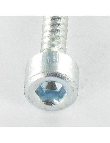 1 x Tornillo chapa CHC BTR llave de 5 6.3X50...