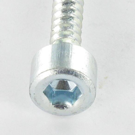 1 x Tornillo chapa CHC BTR llave de 5 6.3X50 Acero cincado blanco