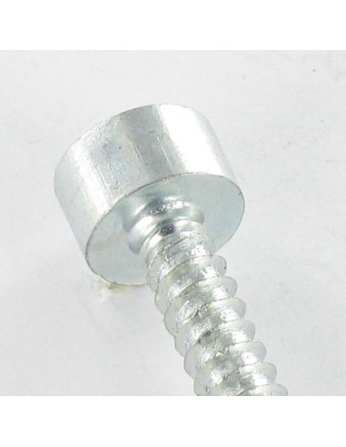 1 x Tornillo chapa CHC BTR llave de 5 6.3X50...