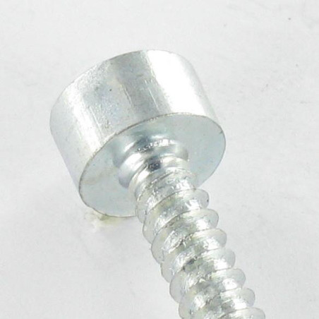 1 x Tornillo chapa CHC BTR llave de 5 6.3X50 Acero cincado blanco