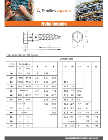 1 x Tirafondo Inoxidable A2 8X80