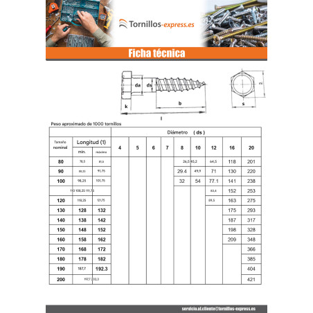 1 x Tirafondo 8X80 fuerte resistencia a la corrosión Acero galvanizado en caliente