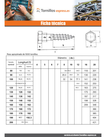 1 x Tirafondo 16X80 Acero cincado blanco