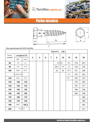 1 x Tirafondo Inoxidable A2 10X50
