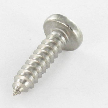 1 x Tornillo chapa cabeza cilíndrica cuadrado 4.8X19 Huella cuadrada 2 Inoxidable A2