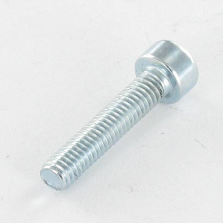 1 x Tornillo metales CHC BTR M8X14 roscado total Clase 8.8 llave de 6 Acero cincado blanco