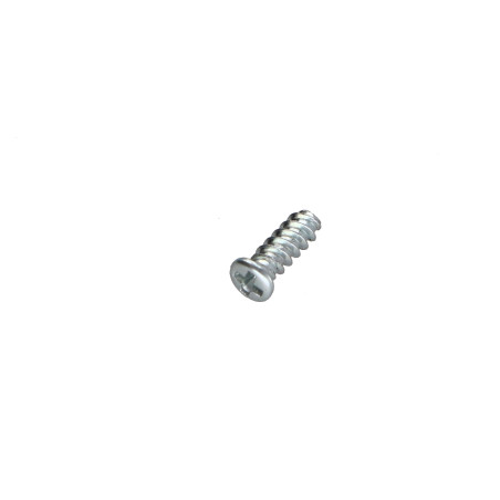 1 x Tornillo autorroscante para plástico cabeza cilíndrica Phillips 0 2X4 Acero cincado blanco microtornillo