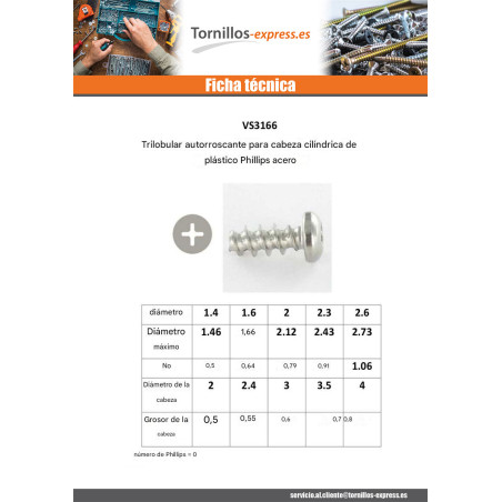 1 x Tornillo autorroscante para plástico cabeza cilíndrica Phillips 0 3X6 Acero cincado blanco microtornillo