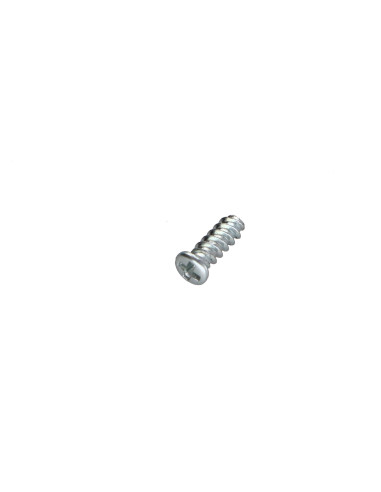 1 x Tornillo autorroscante para plástico cabeza...