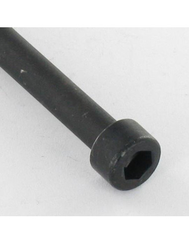 1 x Tornillo metales CHC BTR llave de 5 M6X80...