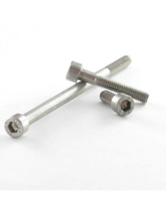 Tornillo metales CHC BTR llave de 19 M24X110 roscado en...
