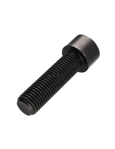1 x Tornillo metales CHC BTR llave de 17 M20X70...