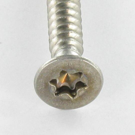 1 x Tornillo chapa cabeza fresada/testa svasat 4.8X38 Inoxidable A2 TORX T25