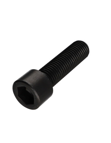 1 x Tornillo metales CHC BTR llave de 17 M22X55...