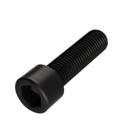1 x Tornillo metales CHC BTR llave de 17 M22X55 roscado total Clase 12.9 Acero bruto
