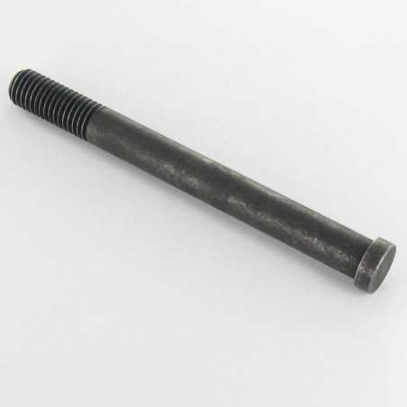 1 x Tornillo metales cabeza cilíndrica sin ranura M12X120 roscado en 30 diámetro de cabeza: 15/5 Clase 8.8 Acero bruto