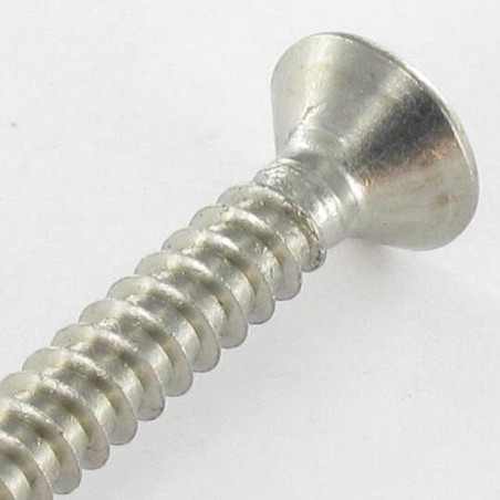 1 x Tornillo chapa cabeza fresada/testa svasat 3.9X19 TORX T15 Inoxidable A2