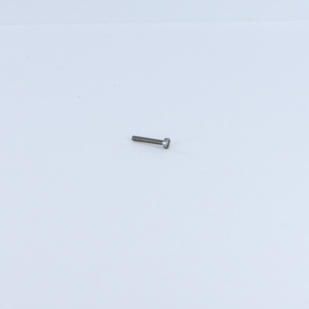 1 x Tornillo metales cabeza cilíndrica ranura M2X13 Acero bruto microtornillo