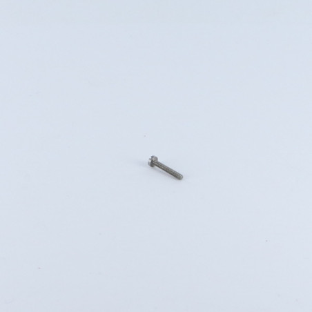 1 x Tornillo metales cabeza cilíndrica ranura M2X13 Acero bruto microtornillo