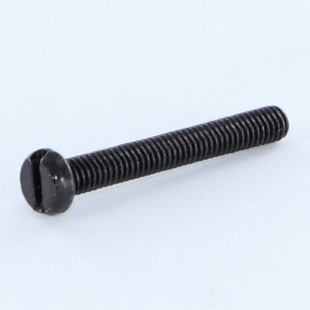 1 x Tornillo metales cabeza cilíndrica ranura M3X6 Acero cincado negro microtornillo
