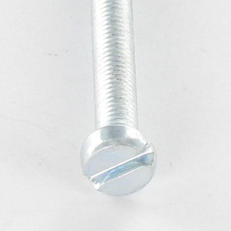1 x Tornillo metales cabeza cilíndrica ranura M4X8 Acero cincado blanco