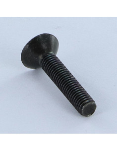 Tornillo metales cabeza fresada/testa svasat sin ranura... 2