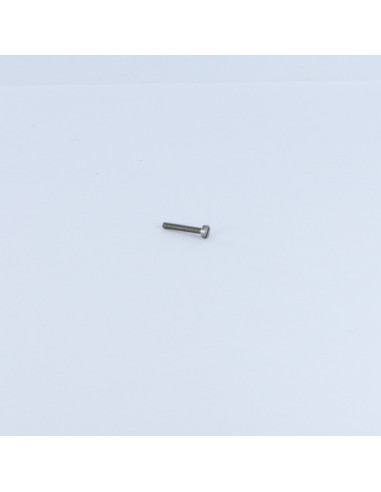 1 x Tornillo metales cabeza cilíndrica ranura...