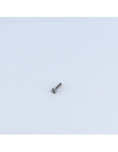 Tornillo metales cabeza cilíndrica ranura M2X32 Acero... 2