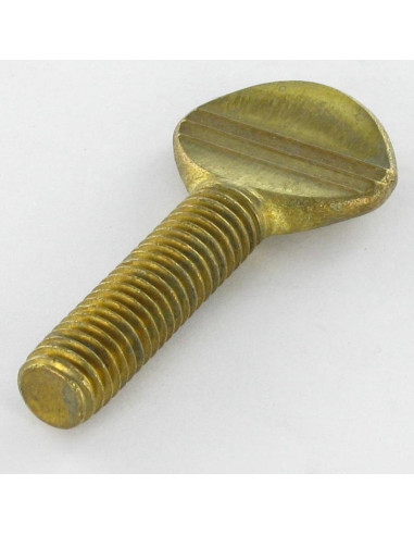 1 x Tornillo viola Latón M6X40