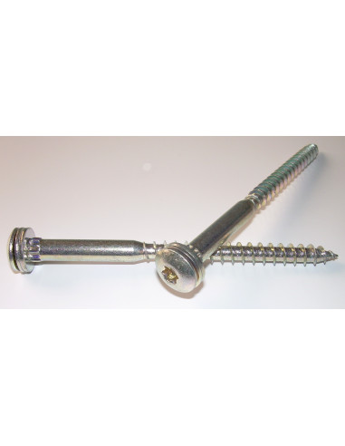 1 x S.POEL 7X100 roscado en 60 TORX T30 cautivo...