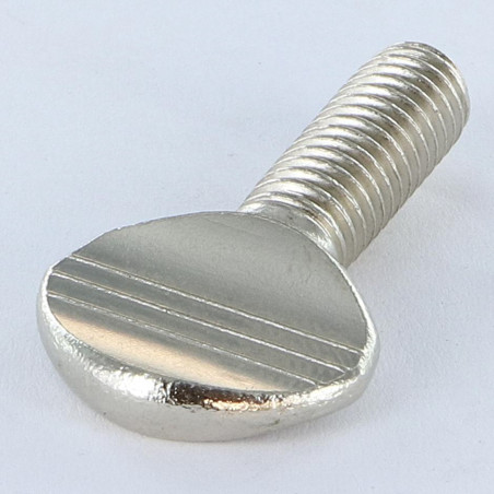 1 x Tornillo viola Latón niquelado M8X20