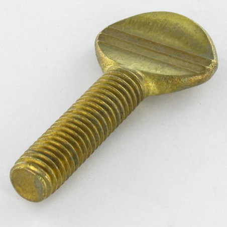 1 x Tornillo viola Latón M8X20