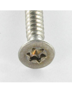 Tornillo chapa cabeza fresada/testa svasat 4.2X38 TORX... 2