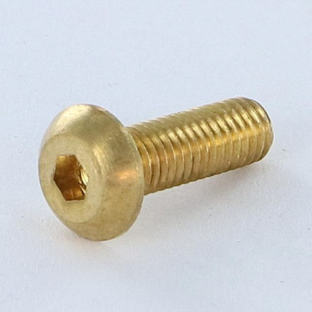 1 x Tornillo metales Cabeza Abombada con Hueco hexagonal M5X16 llave de 3 Latón