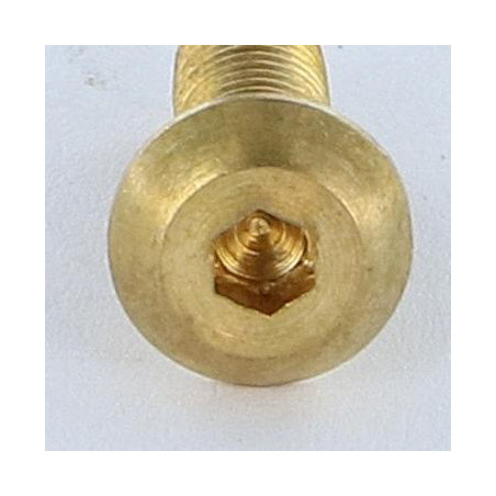 1 x Tornillo metales Cabeza Abombada con Hueco hexagonal M5X16 llave de 3 Latón