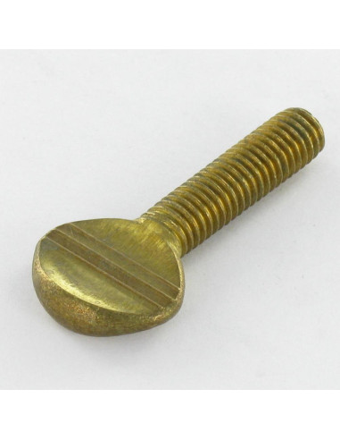 1 x Tornillo viola Latón M8X30